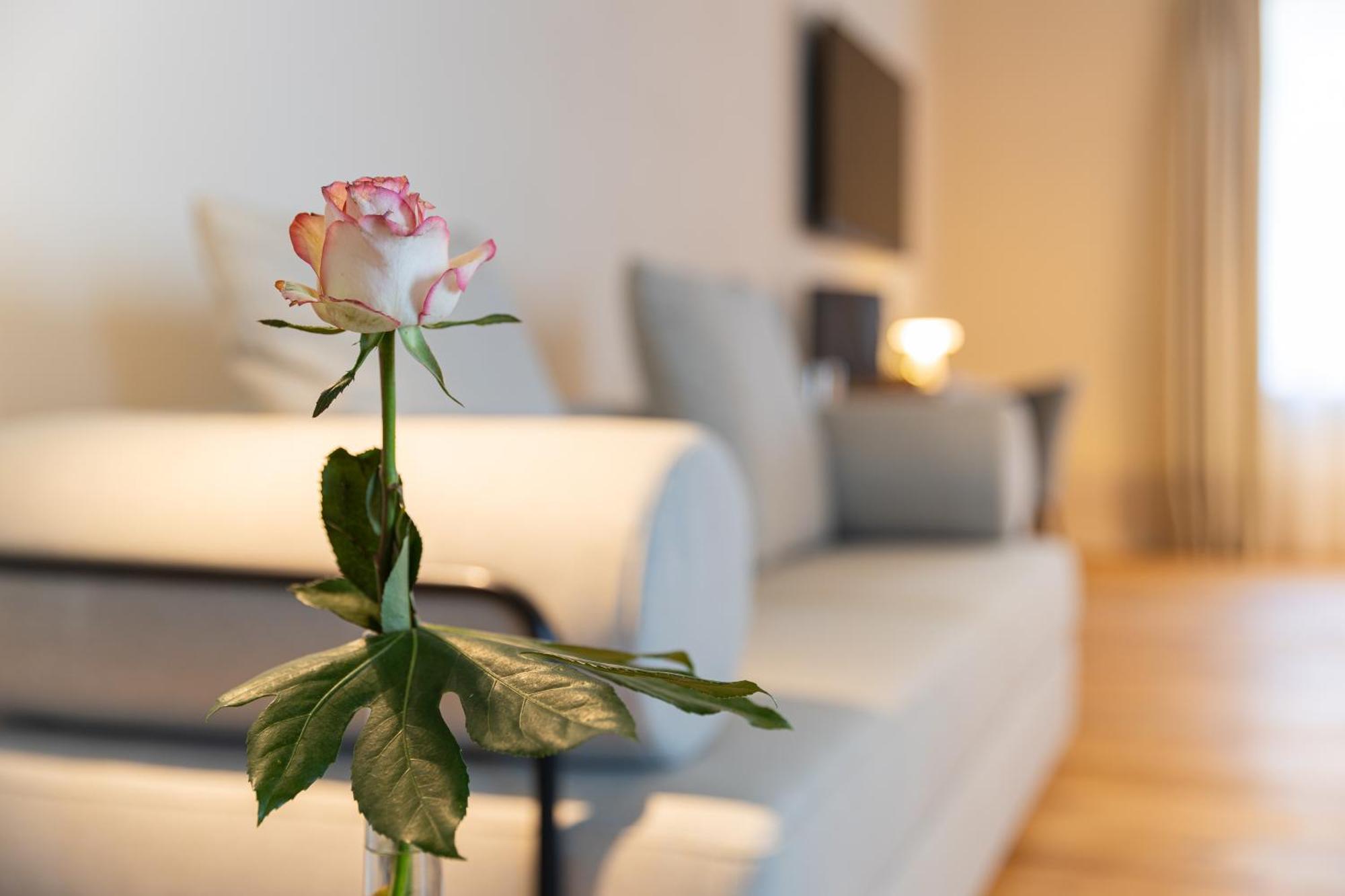 Boutique Hotel Gruener Zweig Schlettau Esterno foto